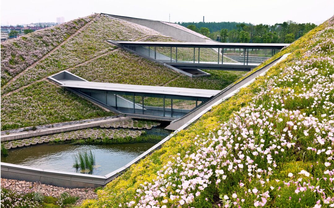 Key Definition: Green Roof