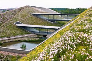 Key Definition: Green Roof