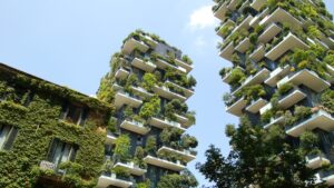 A new model of “urban forestation” to reduce energy costs