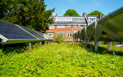 Smartly combining green infrastructure and solar installations can transform Europe’s built environment