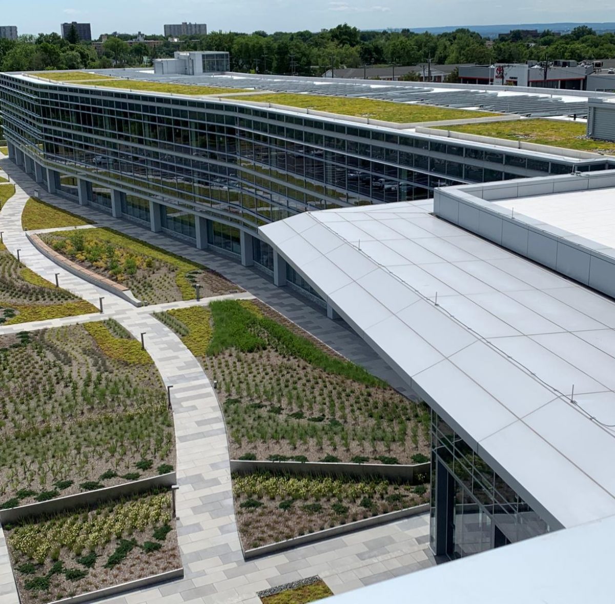 Green example: sustainable campus with LEED Platinum Certification</strong>